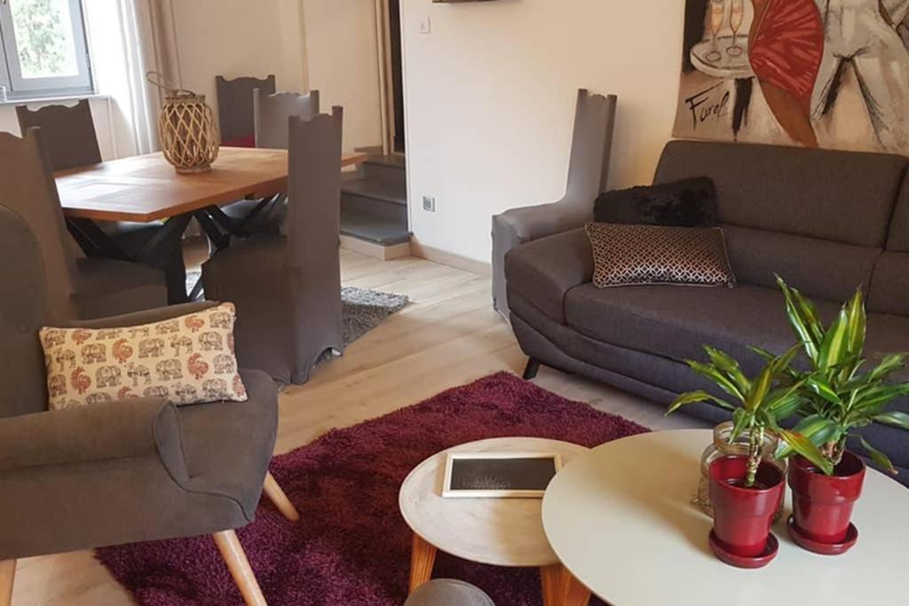 Appartement Cosy Au Pied Du Tourmalet Campan Zewnętrze zdjęcie