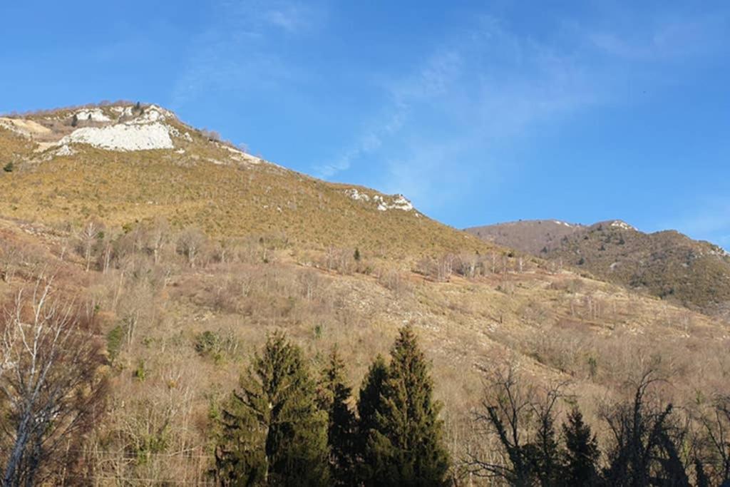 Appartement Cosy Au Pied Du Tourmalet Campan Zewnętrze zdjęcie